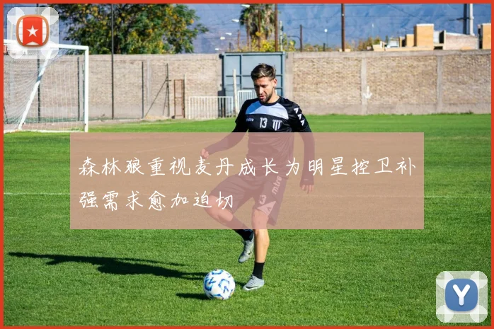 森林狼重视麦丹成长为明星控卫补强需求愈加迫切
